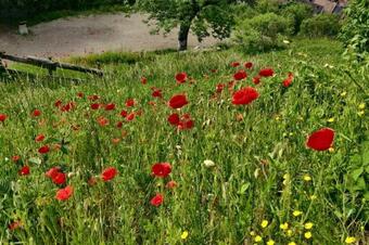 Apartamento Clos Saint Jacques