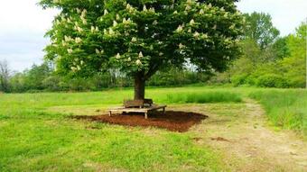 Bed & Breakfast Aux Petits Lardons