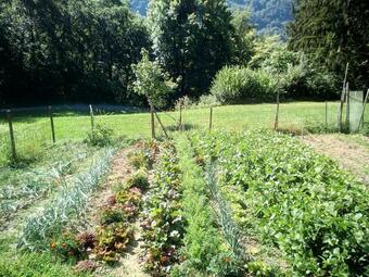 L'aire Du Temps Savoyard