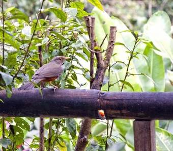 Hotel Mirante Do Penedo