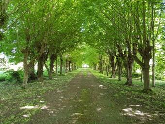 Domaine Du Manoir De Vains