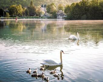 Apartamento Le Relais De La Ravine