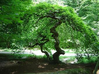 Entre Phare Et Moulin