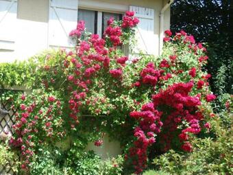 G�te Vigny, 6 Pi�ces, 10 Personnes - Fr-1-649-11