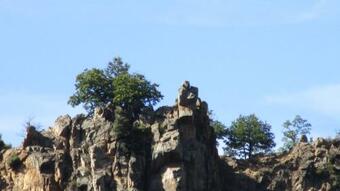 Mobil Home En Conflent