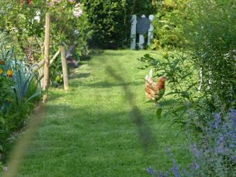 Le Jardin Du Rossignol