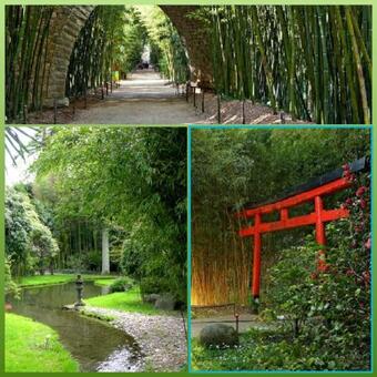 Villa Les Palmiers - Aux Portes D'al�s