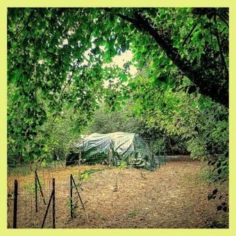 Le Camp Du Bivouaqueur