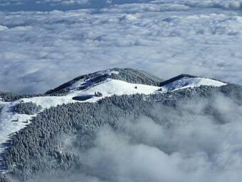 Apartment Mountain Bloom Golte