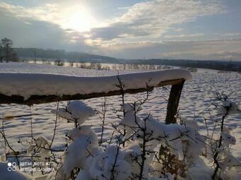 Apartm�n Se Zahradou V Protiv�n? ?.2