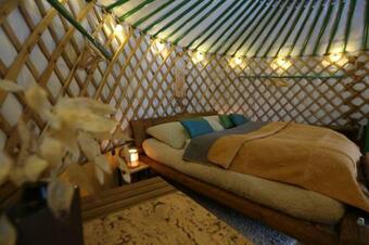 Pokojczech Yurt