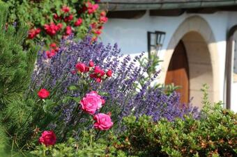 Apartamento Dra?� Tvrz