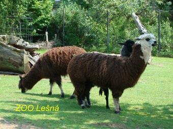 Agroturismo Retro Vila