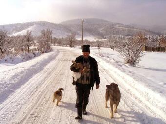 Apartamento Casa Nicu