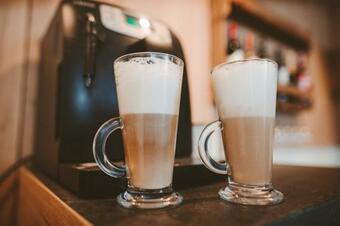 Hostal Vila Casa Din Gradina