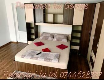 Hostal Pensiunea Lui George