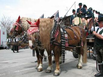 Aktivhotel & Gasthof Schmelz - Wellness Und Spa