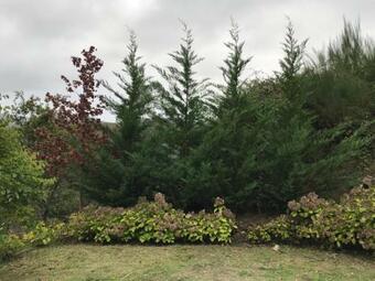 Villa Passadi�o Art And River House