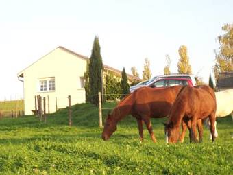 Hostal Hofgut Sturm - G�stezimmer