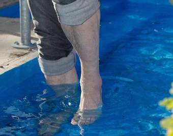 Hostal Paradies Im Schwarzwald