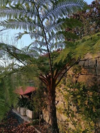 Villa Campo De Sobarbo - Guest House Rural