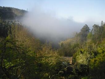 Bed & Breakfast O Homem Verde