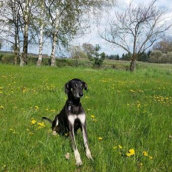 Apartamento Hof Heideland 1