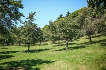 Bohem Zapomenut� M�sto