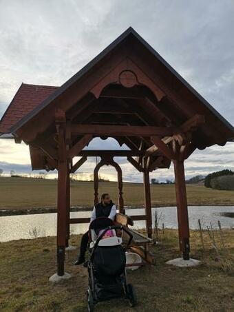 Apartm�n U Ryb�k? V Po?umav�