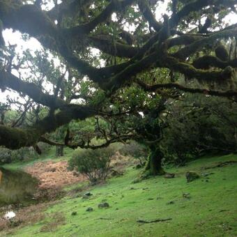 Hostal Janela Para O Atl�ntico