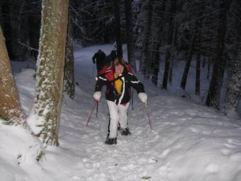 Apartamento Falkenblick