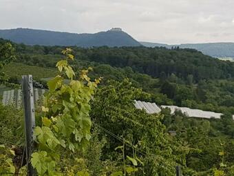 Apartamento Ferienwohnung Burgblick Im Neuffener Tal Mit Sauna