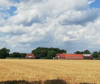 Apartamento Etzel-lodge Weideblick