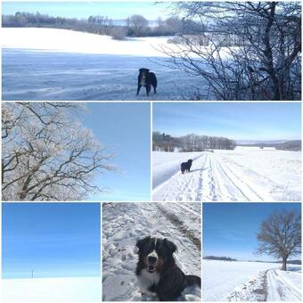 Apartamento Ferienwohnung Am Sendberg
