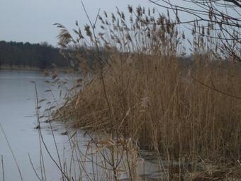 Ferienh�user Pannier I Und II