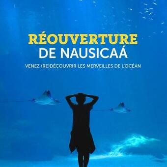 G�te Dans Le Pr� Hesdin L'abb�