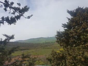 Bed & Breakfast Al Bosco Ficuzza