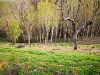 Agroturismo Alojamento Local Madre De Cima