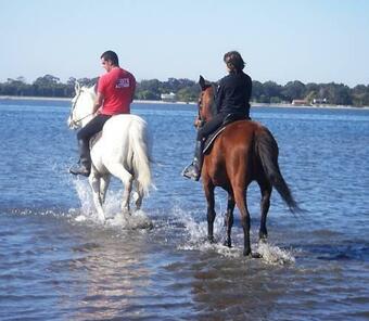 Casa Dos Amigos - A Luxury Home In The Nature