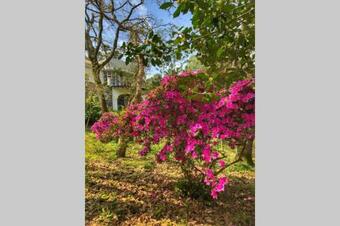 Apartamento Quinta Biológica, Com Vista, Na Serra de Sintra