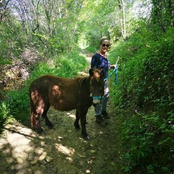 Bed & Breakfast Castel Mazars