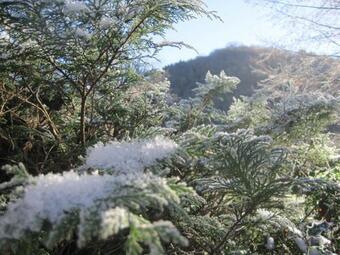 Le Pidro - A Family House With Private Stream And Woodland