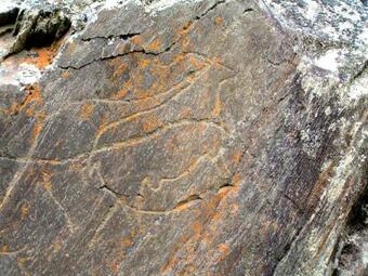 Casa Do Tablado - Foz C�a