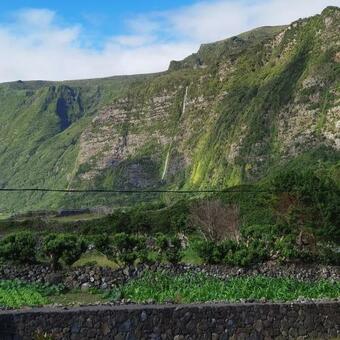 Casa Da Sogra - Apartamento 2
