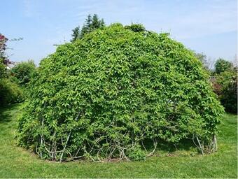 Alte K�serei K�ssern