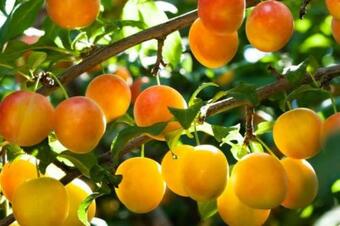 Le 18 Avenue Du C�teau 2/3 Personnes Tout Confort