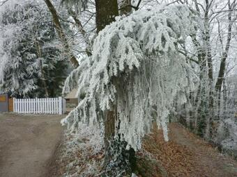 Bed & Breakfast Stretcha