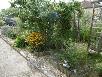 Le Chat Qui Peche Apartment