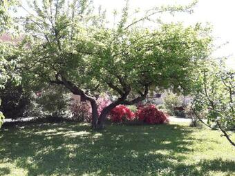 Apartamento Talonno Il Frutteto