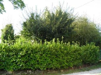 Agroturismo Casa Vincia